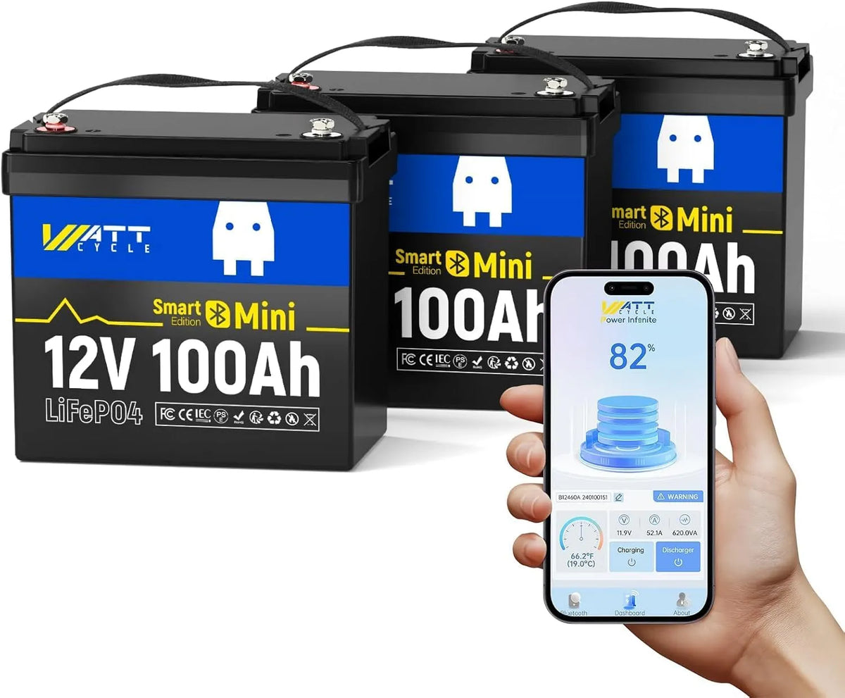 Lithium LiFePO4 Batterie lithium LiFePO4 et batterie solaire à décharge profonde, alimentation solaire, 100Ah, 12V, avec BMS, avec Bluetooth