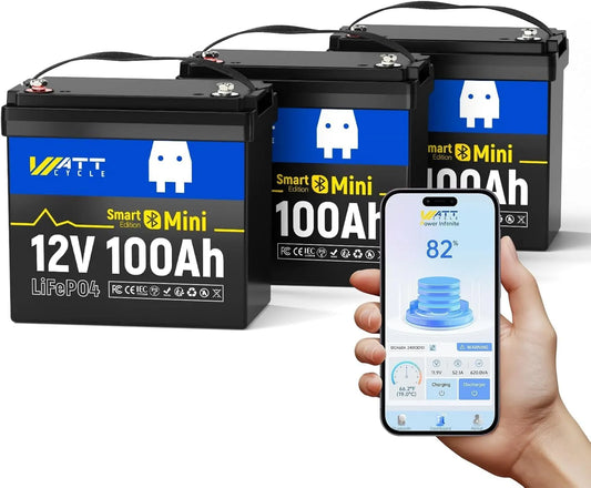 Lithium LiFePO4 Batterie lithium LiFePO4 et batterie solaire à décharge profonde, alimentation solaire, 100Ah, 12V, avec BMS, avec Bluetooth